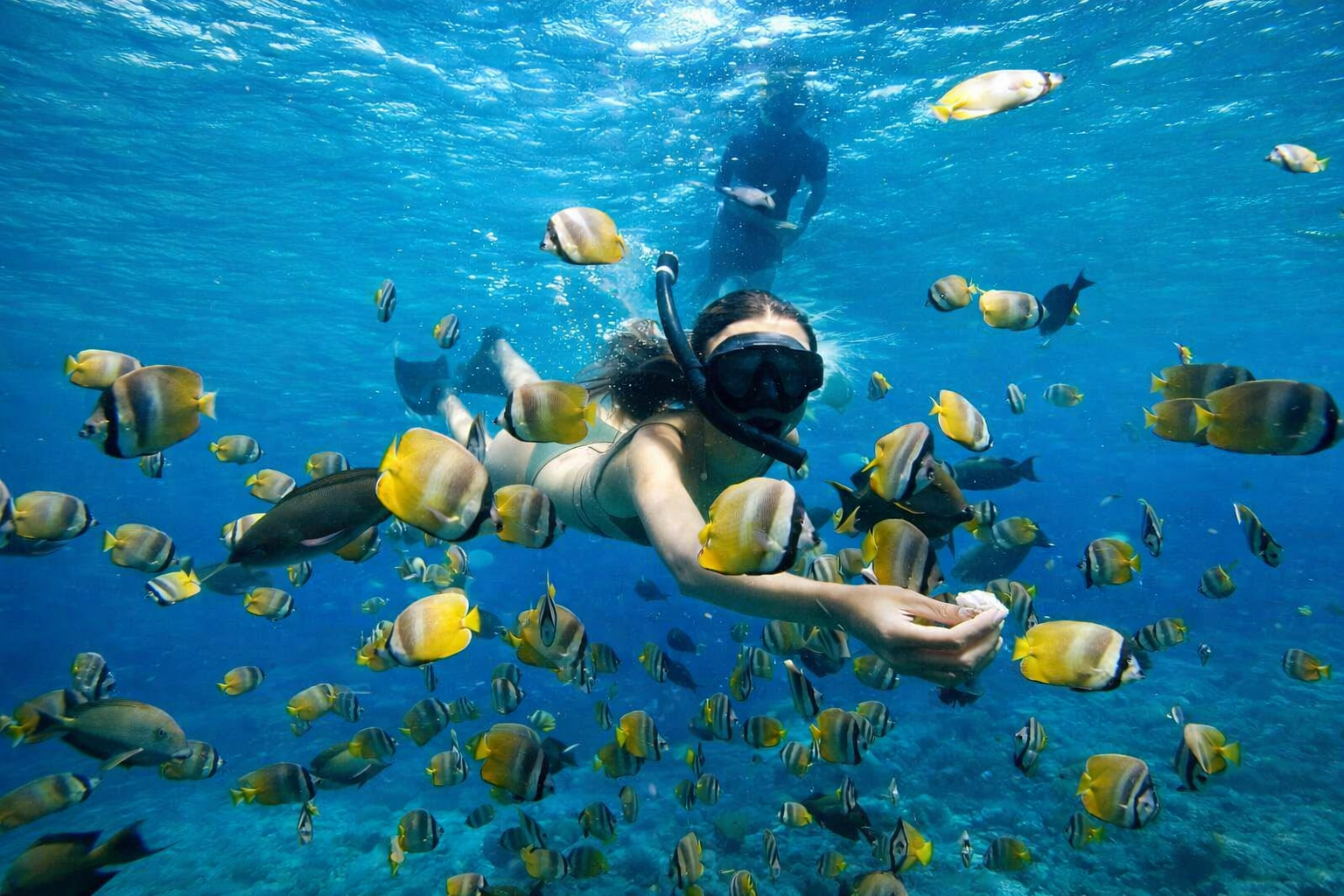 Package 4 — East Bali: Lempuyang + Tirta Gangga + Blue Lagoon Snorkeling